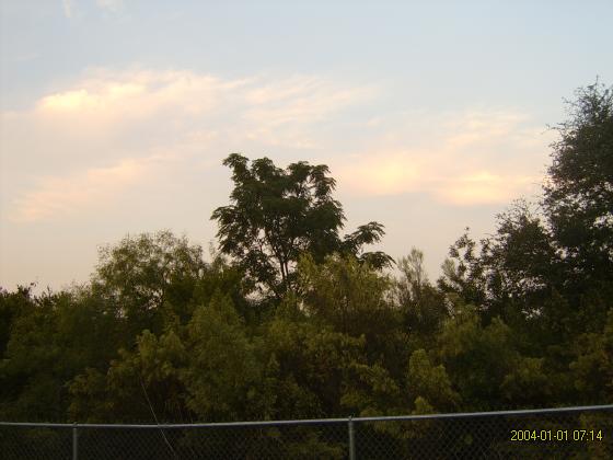 S5300042.jpg