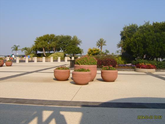 S5300089.jpg