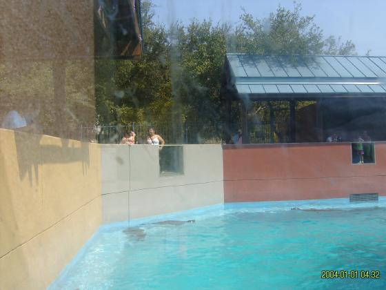 S5300106.jpg