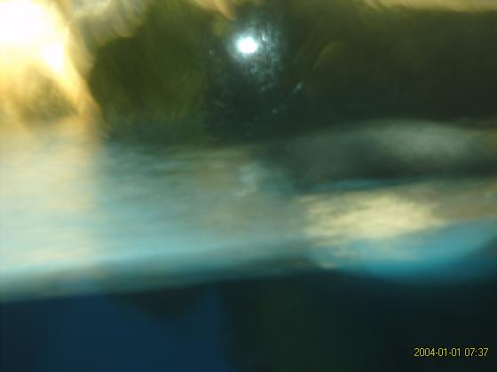 S5300130.jpg