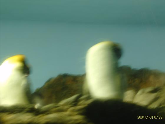 S5300132.jpg
