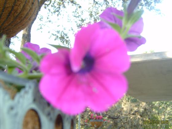S5300155.jpg