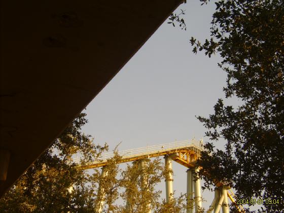 S5300169.jpg