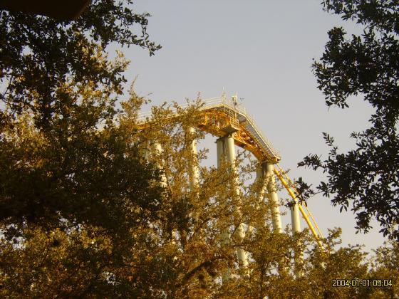 S5300170.jpg