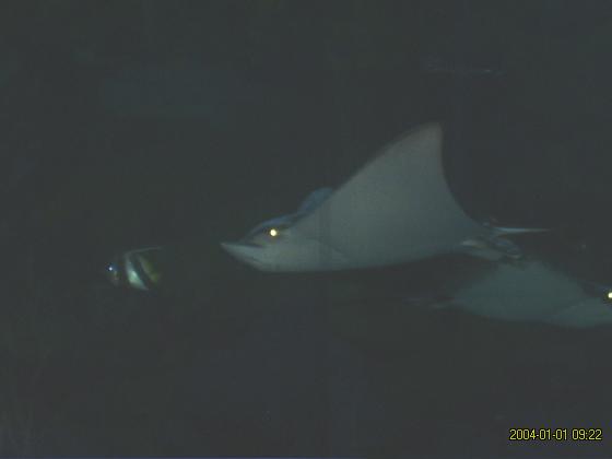 S5300176.jpg