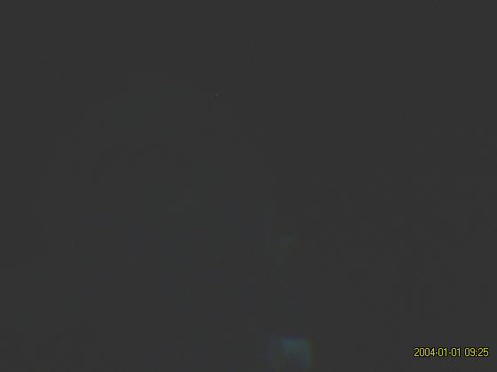 S5300183.jpg