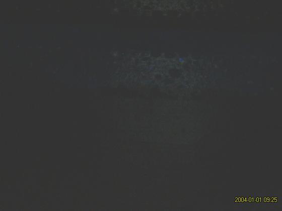 S5300184.jpg
