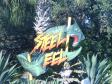 Download